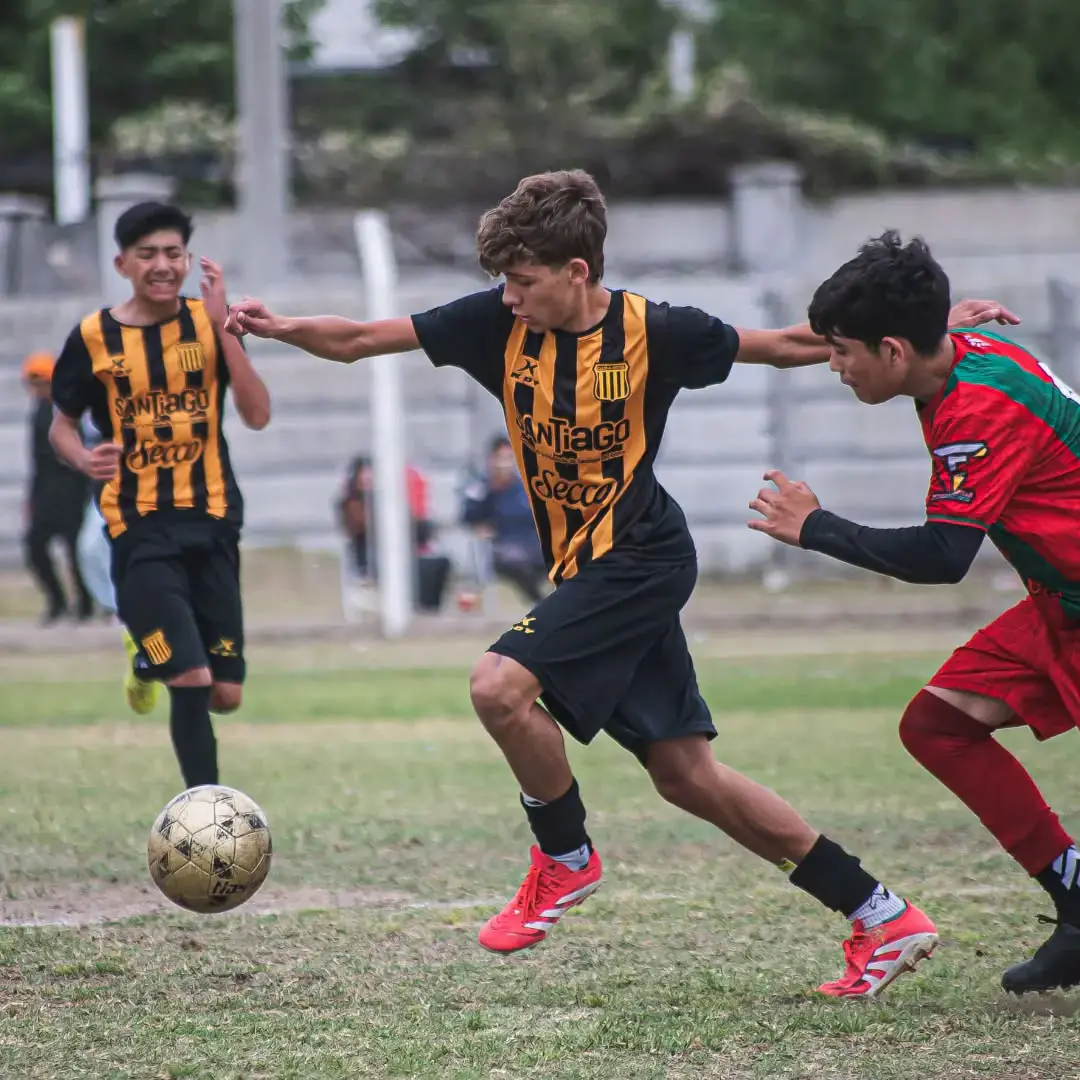 Sgosports.com.ar te brinda la programación de la fecha 12 de las Inferiores de la LSF